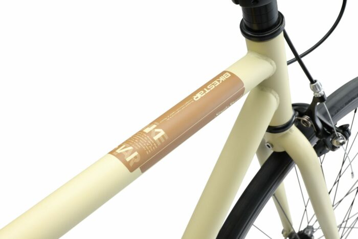 BI 700 SS 02 CMBN 8 scaled