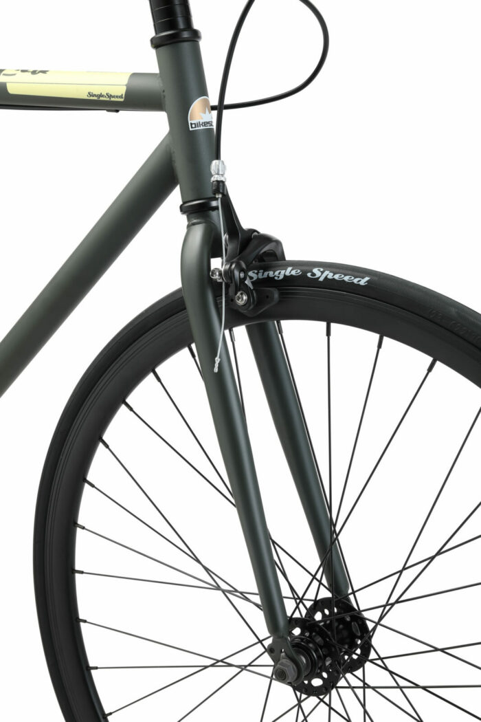 BI 700 SS 02 NGCM 10 scaled