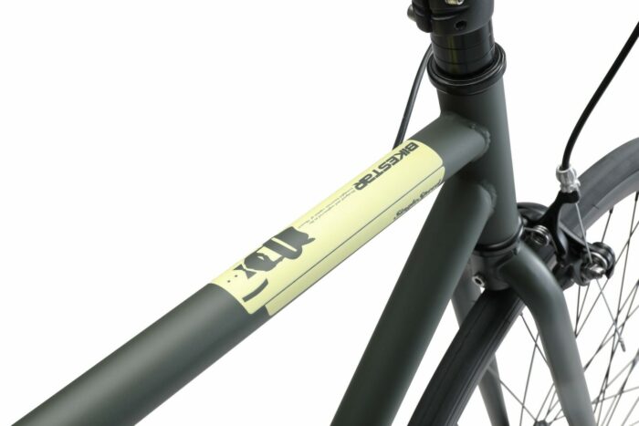 BI 700 SS 02 NGCM 8 scaled