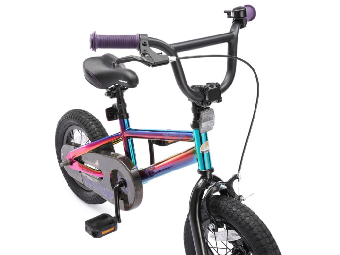 BI 12 BX BKBE handrem:lichten