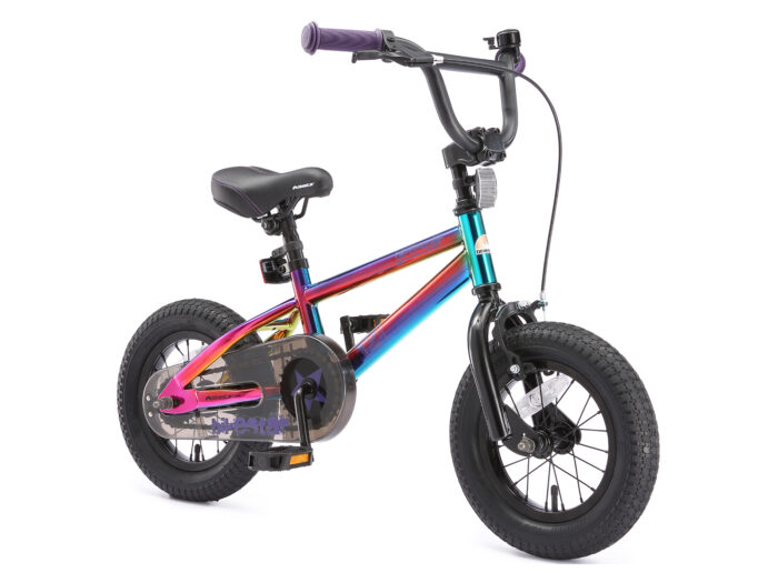 BI 12 BX BKBE schuinvoor