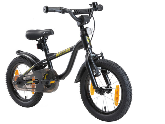 BI 14 LR 01 BLAC schuin