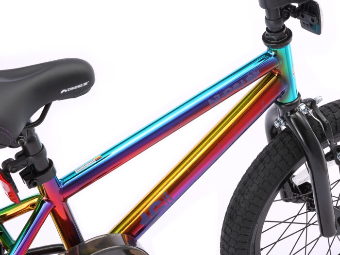 BI 16 BX BKBE kleur