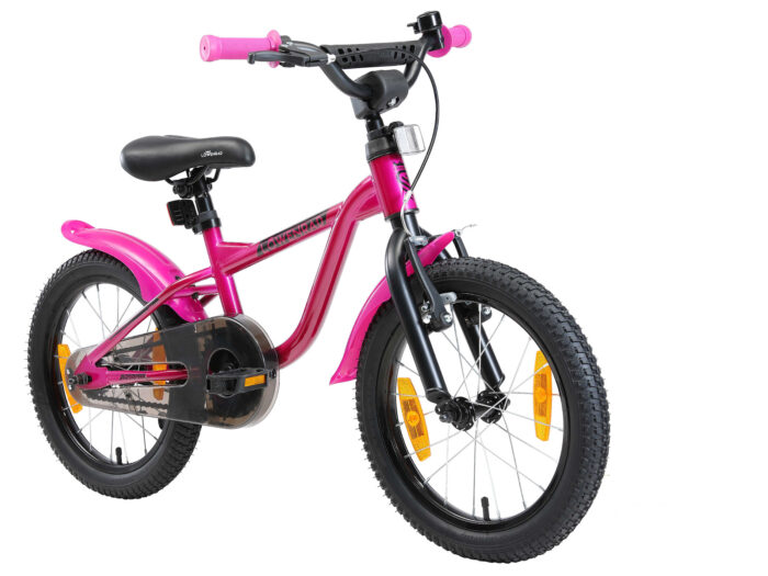 BI 16 LR 01 BERR schuin