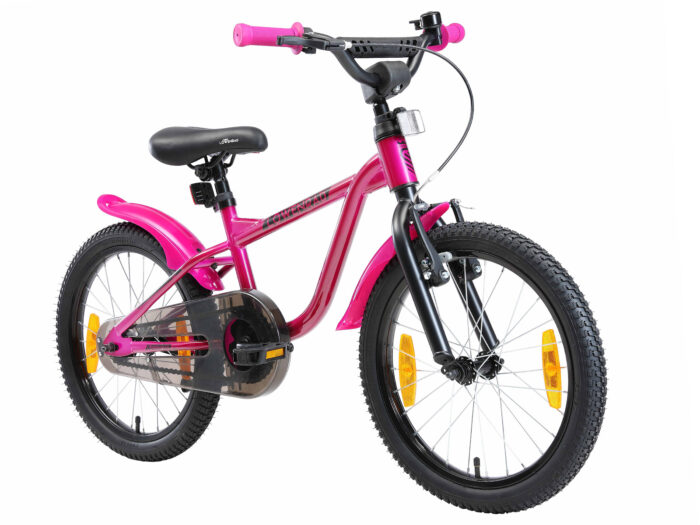 BI 18 LR BERR schuin