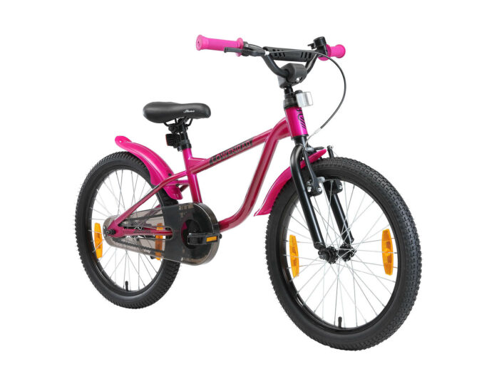 BI 20 LR BERR schuin voor