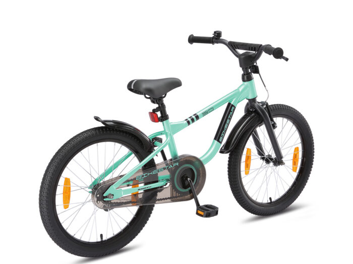 BI 20 LR MINT schuin achter