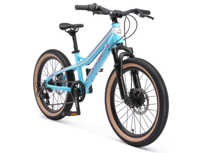 BI 20 MB J1 LBWE 1 1