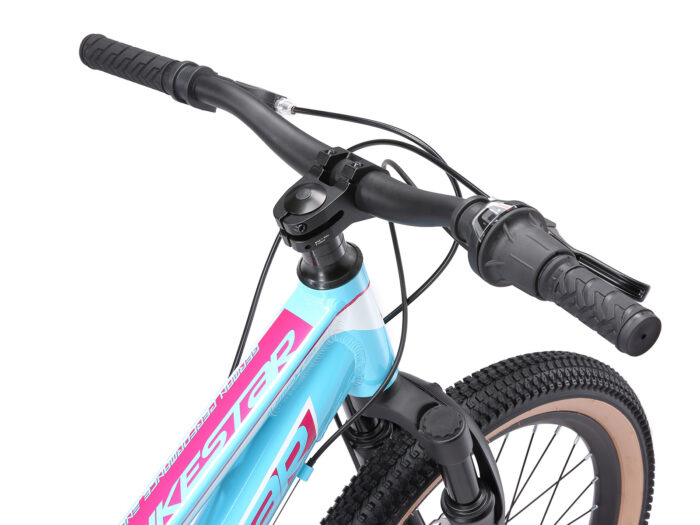 BI 20 MB J1 LBWE 5 1