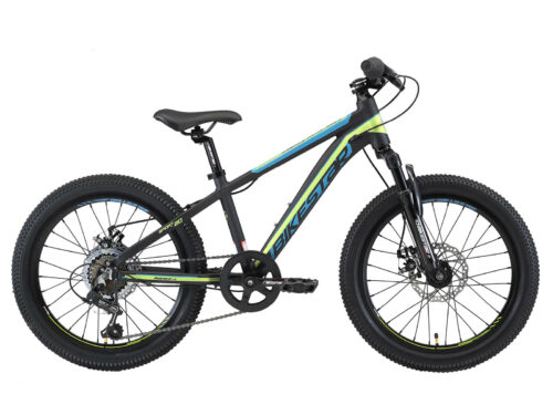bikestar 20 inch MTB zwart/groen
