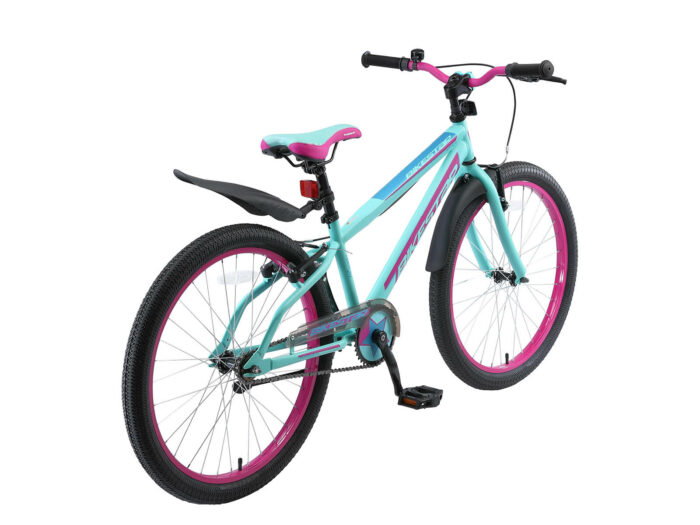 BI 24 CM BYTE schuin achter
