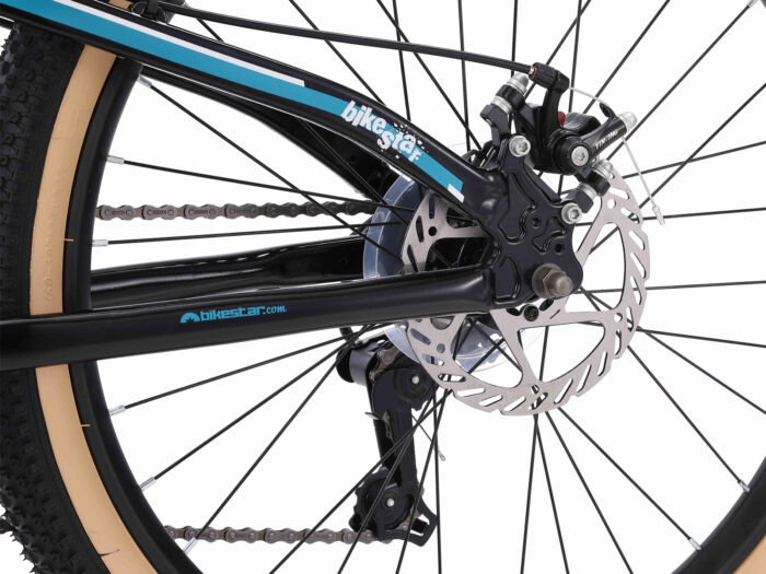 BI 24 MB J1 BKPL schijfrem