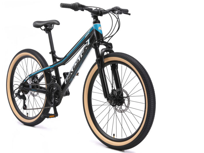 BI 24 MB J1 BKPL schuin