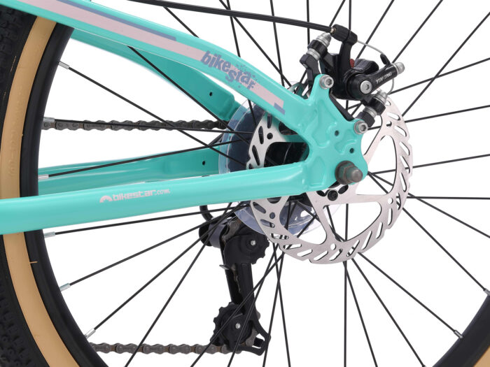 BI 24 MB J1 LBWE schijfrem