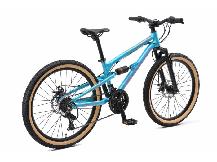 BI 24 MF CC LBPK 3 1