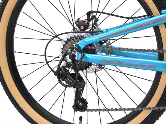 BI 24 MF CC LBPK 4 1