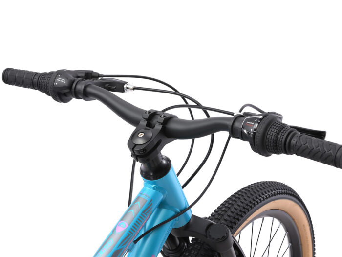 BI 24 MF CC LBPK 5 1