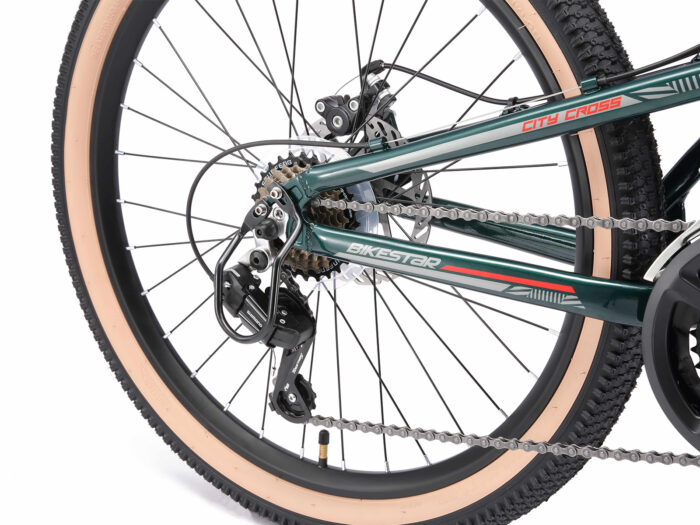 BI 24 MF CC PLRD 4 1