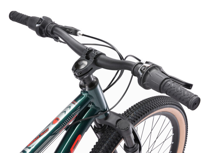 BI 24 MF CC PLRD 5 1