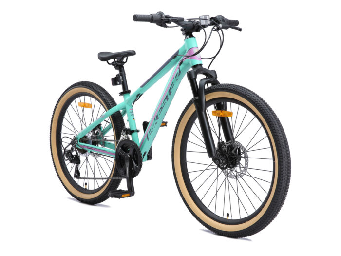 BI 24 MH SO MTGP 1 1