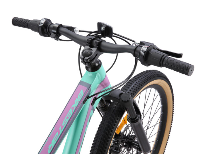 BI 24 MH SO MTGP 10 1