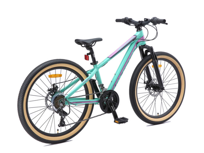 BI 24 MH SO MTGP 3 1