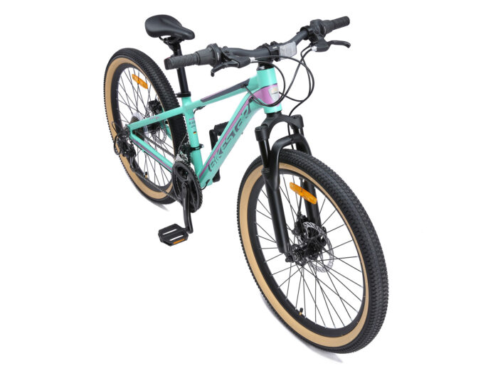 BI 24 MH SO MTGP 9 1