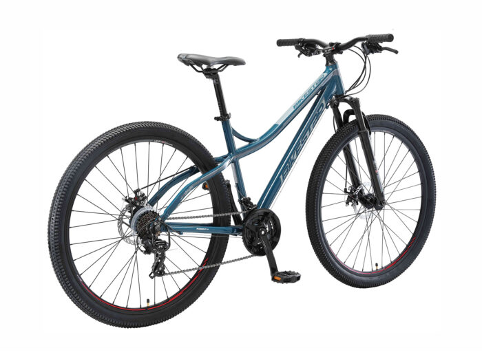 BI 29 MB J1 BEGY 3 1