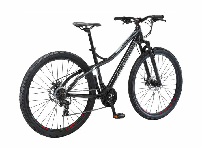 BI 29 MB J1 BKGY 3 1