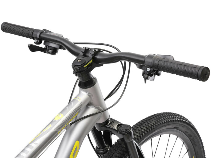 BI 29 MF CC GYYW stuur