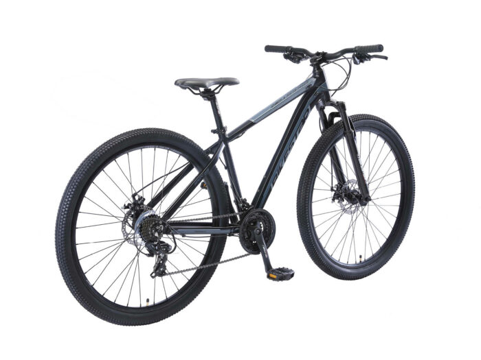 BI 29 MH SM BEGG schuin achter