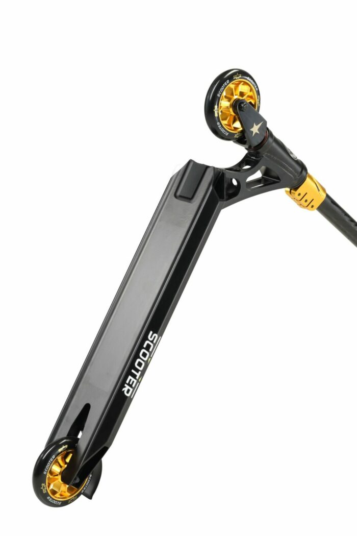 SC 110 SJ PR BKGD 5 scaled