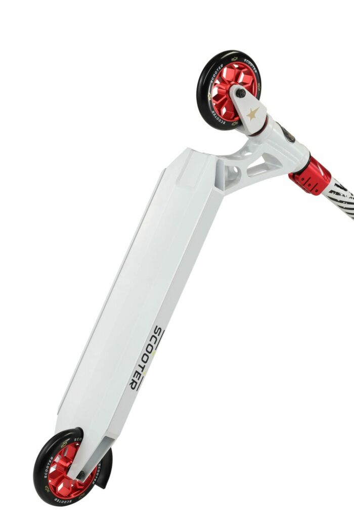 SC 120 SJ PR WERD 6 scaled