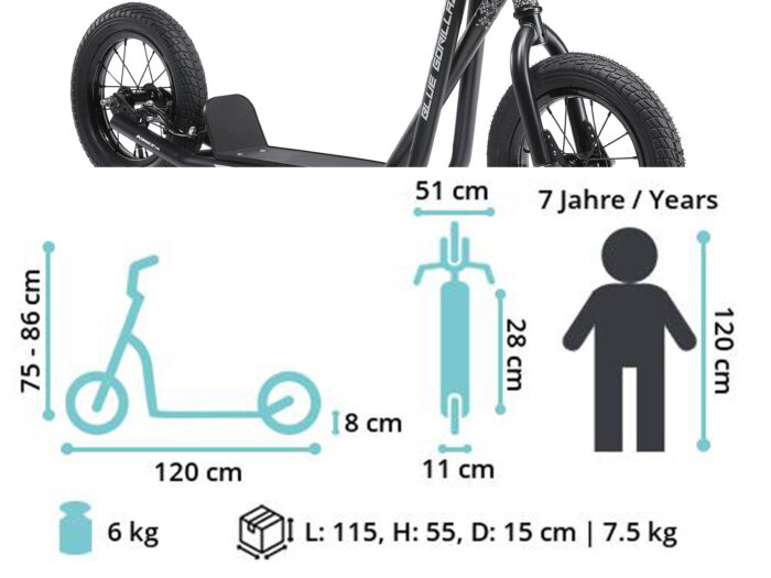 SC 12 BG BKGY dim neu