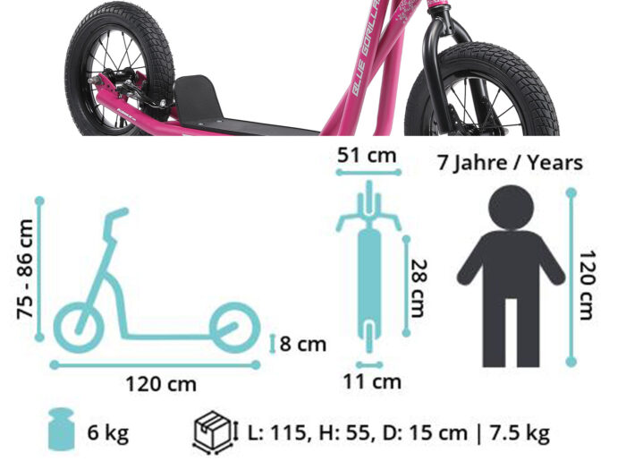 SC 12 BG PEGY dim neu