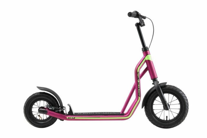 SC 12 MX BERR 2 scaled 3