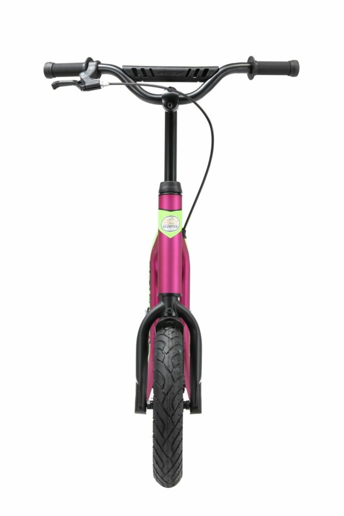 SC 12 MX BERR 8 scaled 3