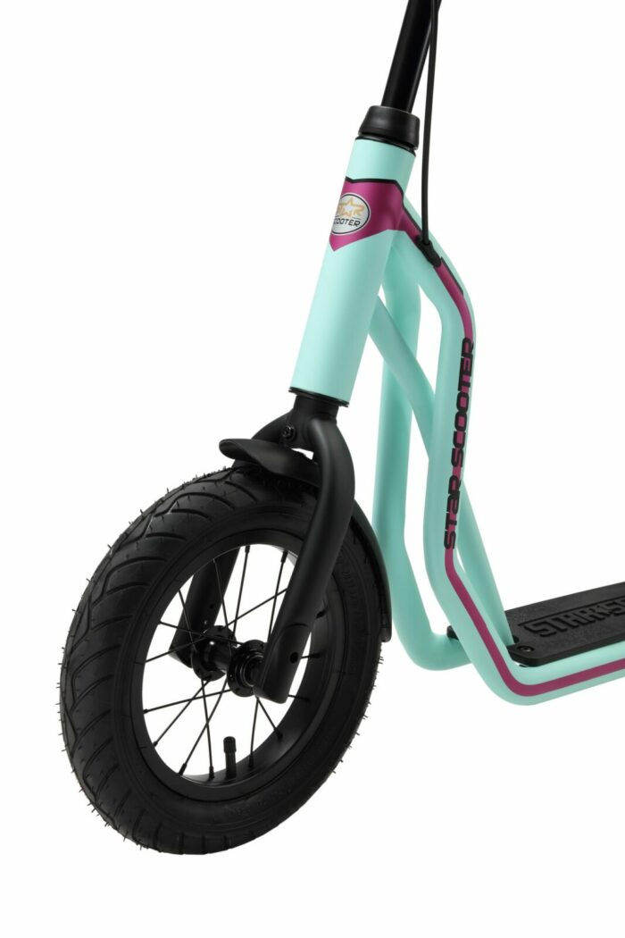 SC 12 MX MINT 5 scaled 3