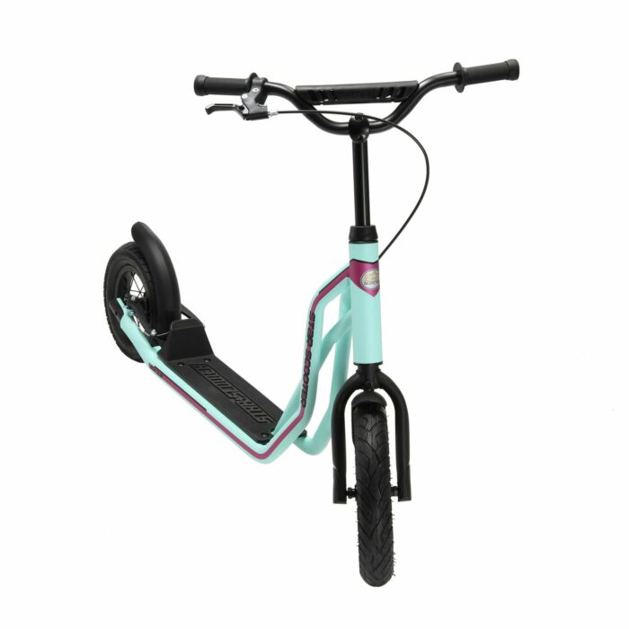 SC 12 MX MINT 7 scaled 3