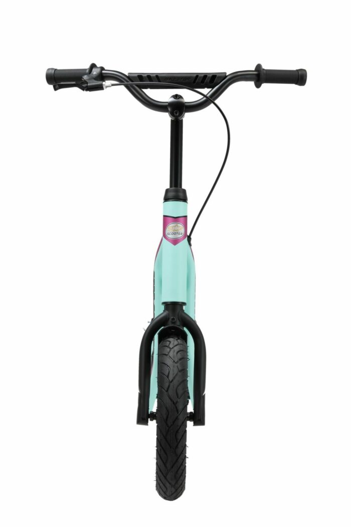 SC 12 MX MINT 8 scaled 3