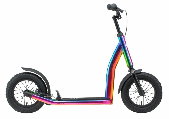 SC 12 ST NG NEOC 2 scaled 1