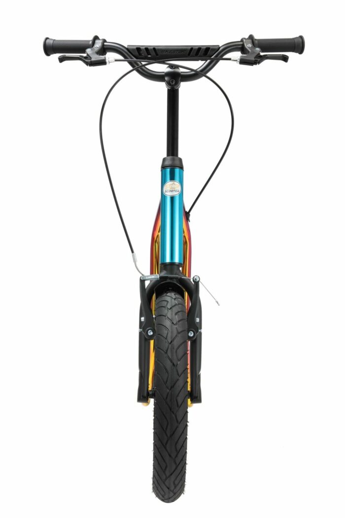 SC 16 MX NEOC 8 scaled 2