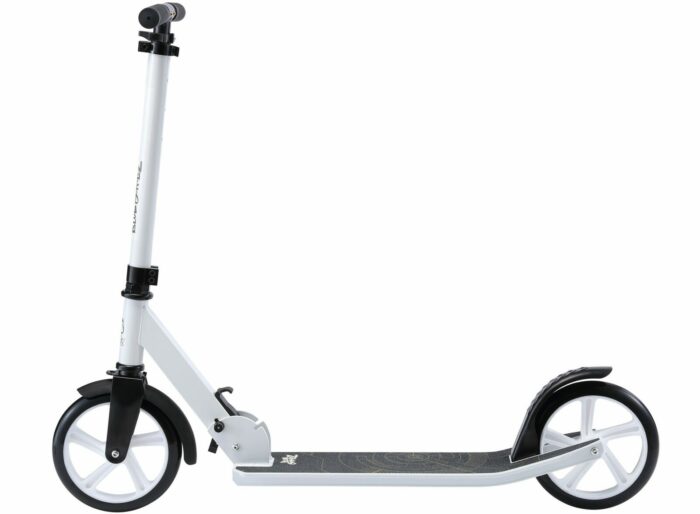 SC 205 BG LR WHIT 2 scaled 2