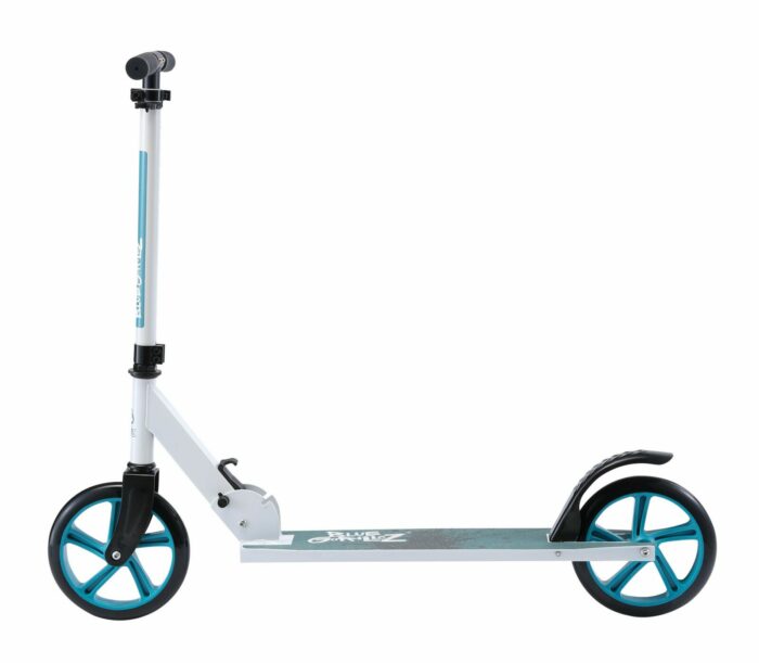 SC 205 BG SS WHIT 2 scaled 2