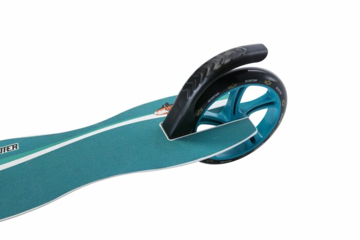 SC 205 FA WA WHIT 3 scaled 2