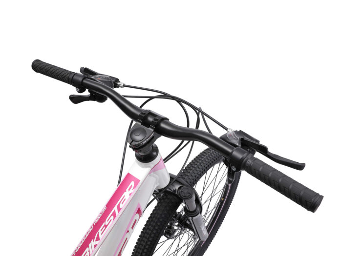 BI 26 MB J1 WEPP 4 1