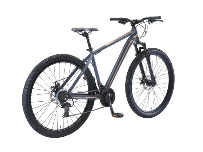 BI 29 MH SL BSGB schuin achter