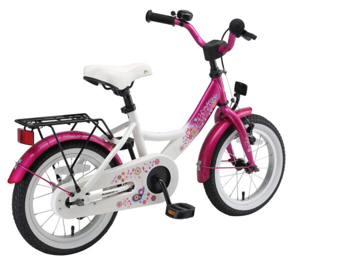 BI 14 KK 01 PKWE schuin achter