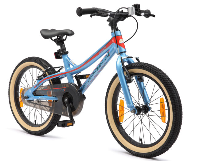 BI 18 MB J1 BERD schuin