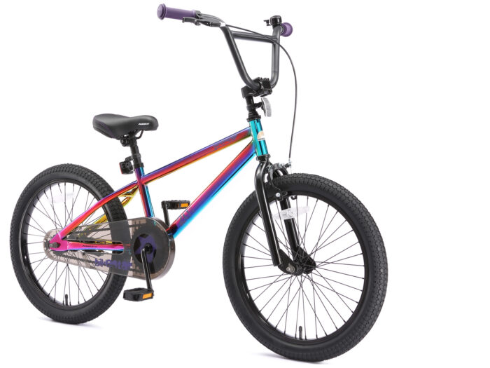 BI 20 BX BKBE schuin